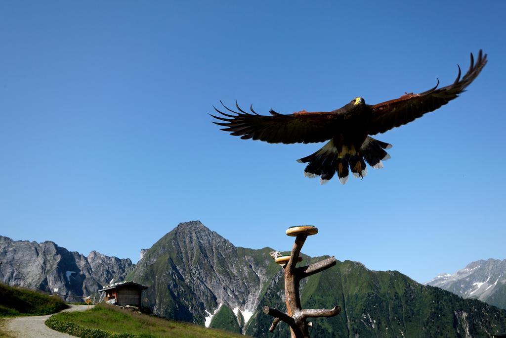 Gaestehaus Ahornblick Mayrhofen Buitenkant foto